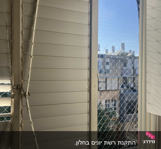 רשת יונים מותקנת על חלון למניעת כניסת יונים
